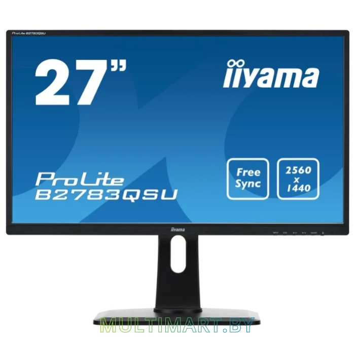 Монитор Iiyama ProLite B2783QSU-B1